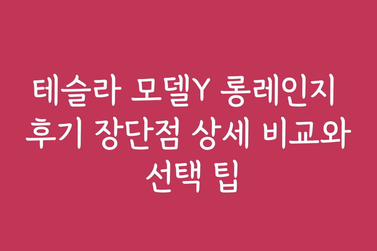 테슬라 모델Y 롱레인지 후기 장단점 상세 비교와 선택 팁