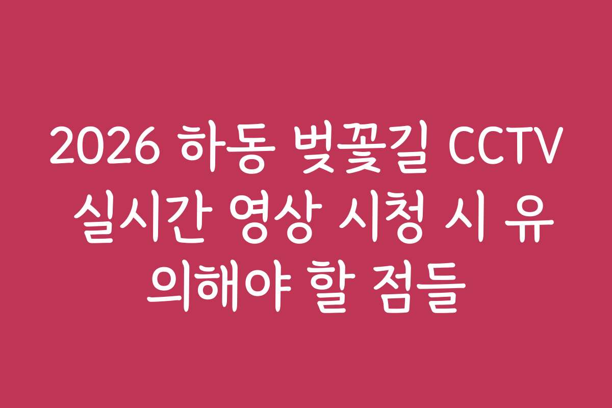 2026 하동 벚꽃길 CCTV 실시간 영상 시청 시 유의해야 할 점들