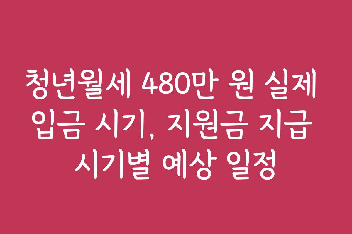청년월세 480만 원 실제 입금 시기, 지원금 지급 시기별 예상 일정
