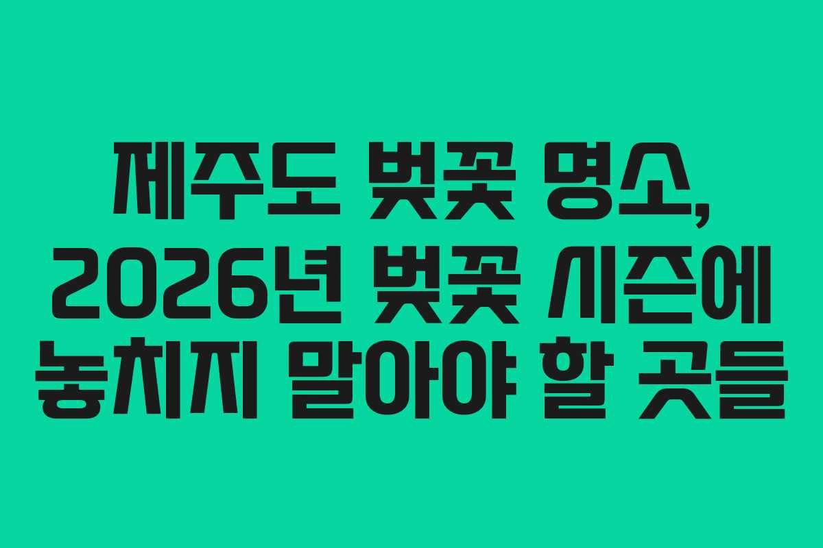 제주도 벚꽃 명소, 2026년 벚꽃 시즌에 놓치지 말아야 할 곳들