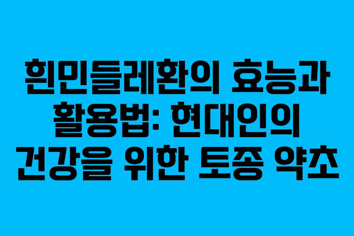 흰민들레환의 효능과 활용법: 현대인의 건강을 위한 토종 약초