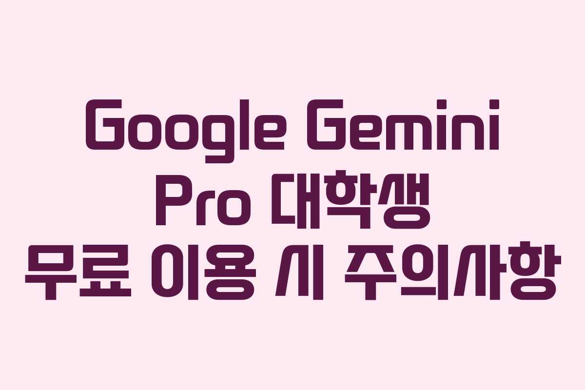 Google Gemini Pro 대학생 무료 이용 시 주의사항