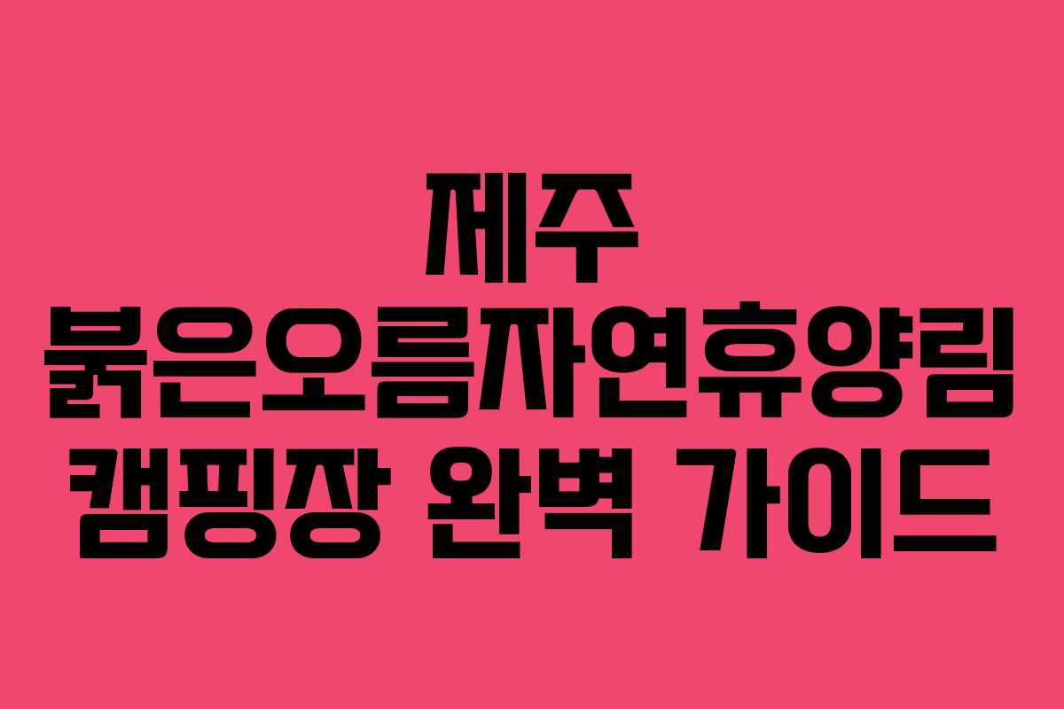 제주 붉은오름자연휴양림 캠핑장 완벽 가이드
