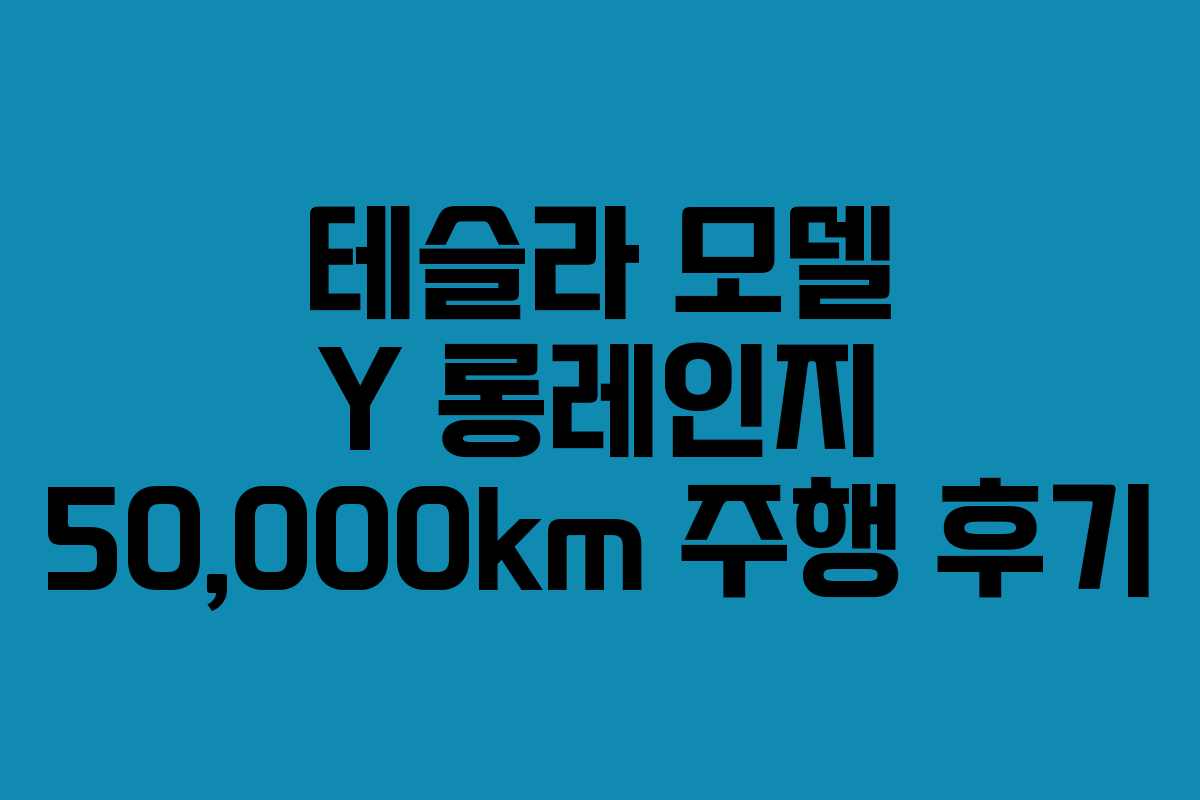 테슬라 모델 Y 롱레인지 50,000km 주행 후기