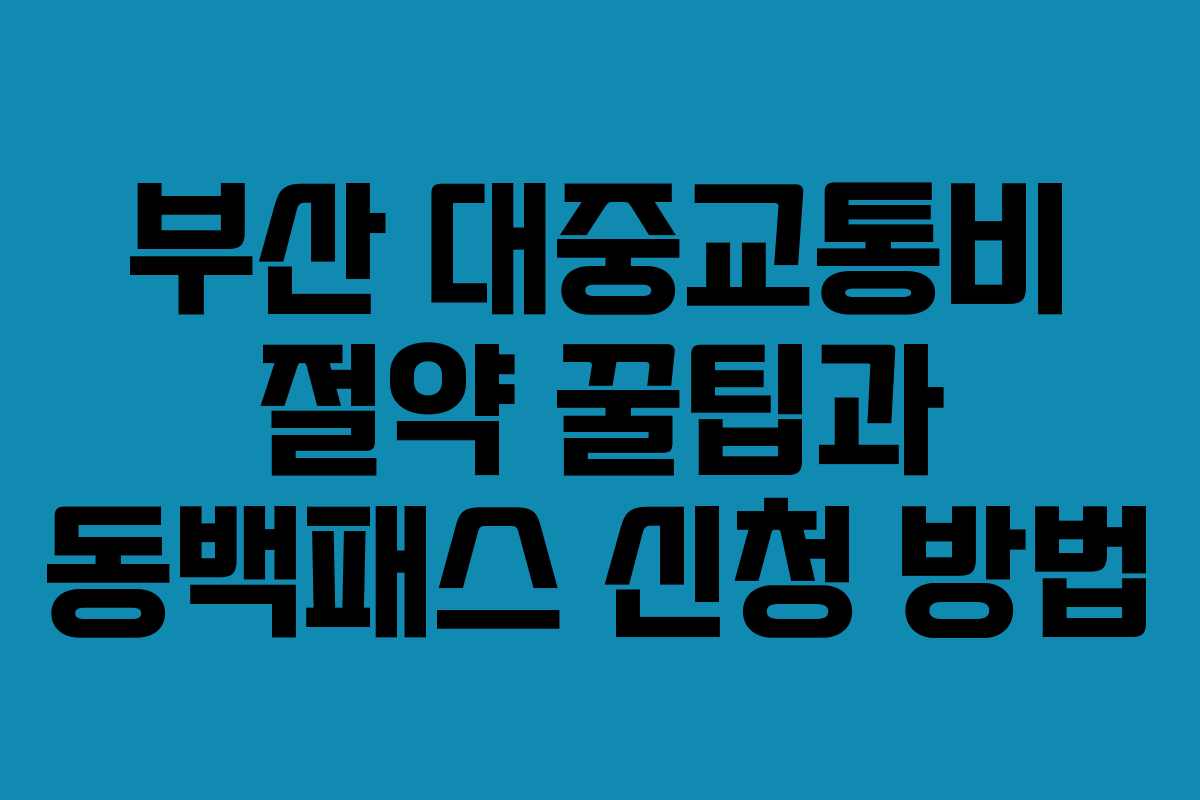 부산 대중교통비 절약 꿀팁과 동백패스 신청 방법