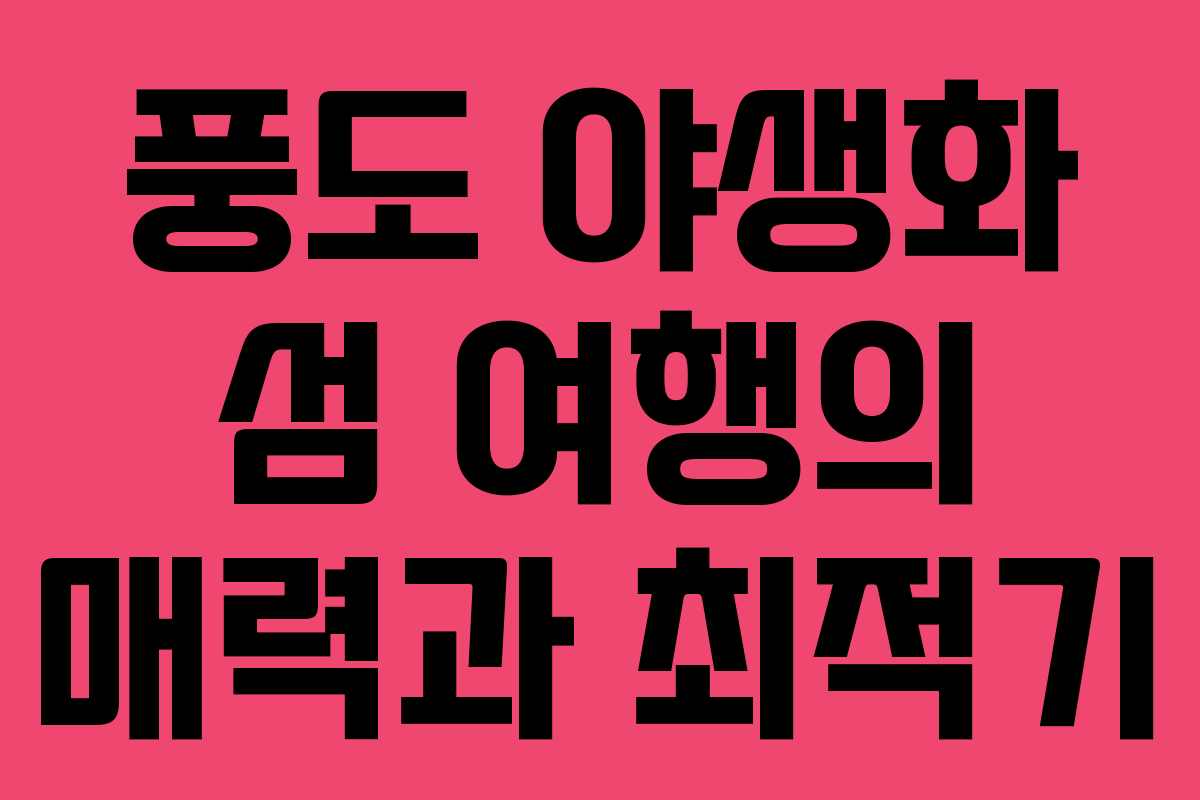 풍도 야생화 섬 여행의 매력과 최적기