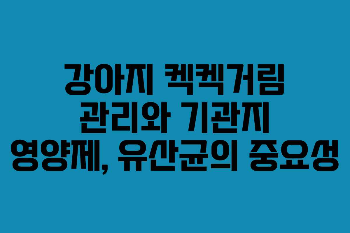 강아지 켁켁거림 관리와 기관지 영양제, 유산균의 중요성