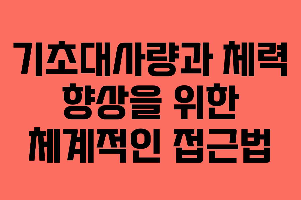 기초대사량과 체력 향상을 위한 체계적인 접근법