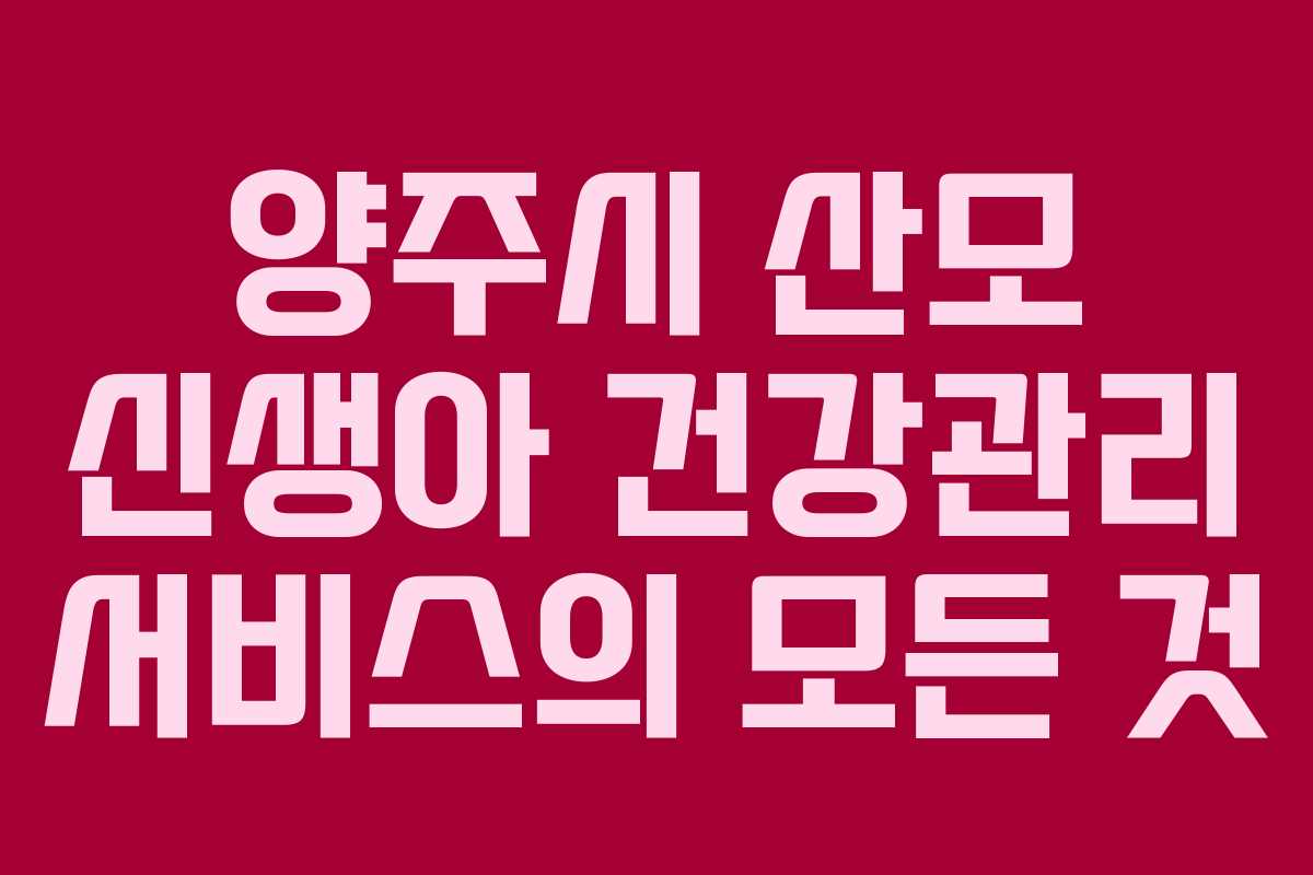 양주시 산모 신생아 건강관리 서비스의 모든 것