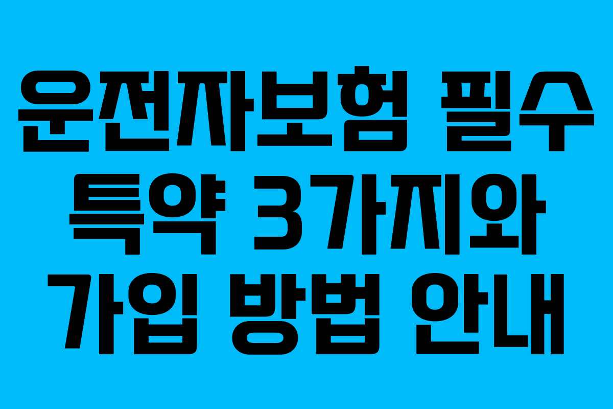 운전자보험 필수 특약 3가지와 가입 방법 안내