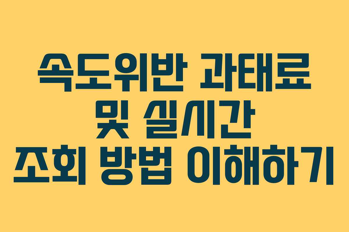 속도위반 과태료 및 실시간 조회 방법 이해하기