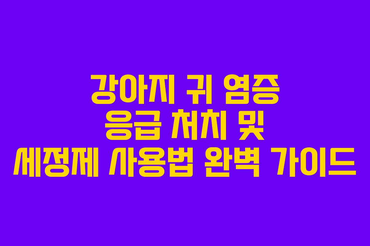 강아지 귀 염증 응급 처치 및 세정제 사용법 완벽 가이드