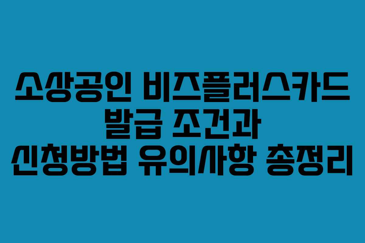 소상공인 비즈플러스카드 발급 조건과 신청방법 유의사항 총정리