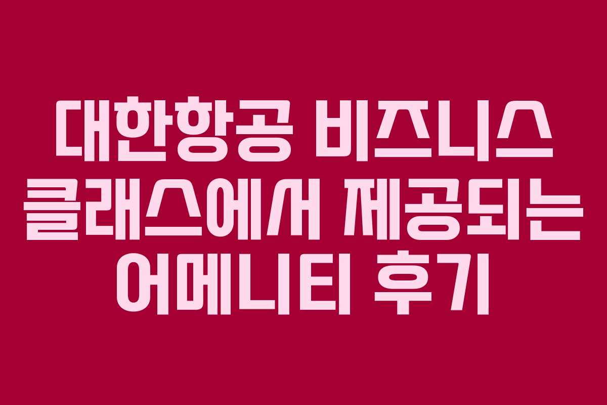 대한항공 비즈니스 클래스에서 제공되는 어메니티 후기