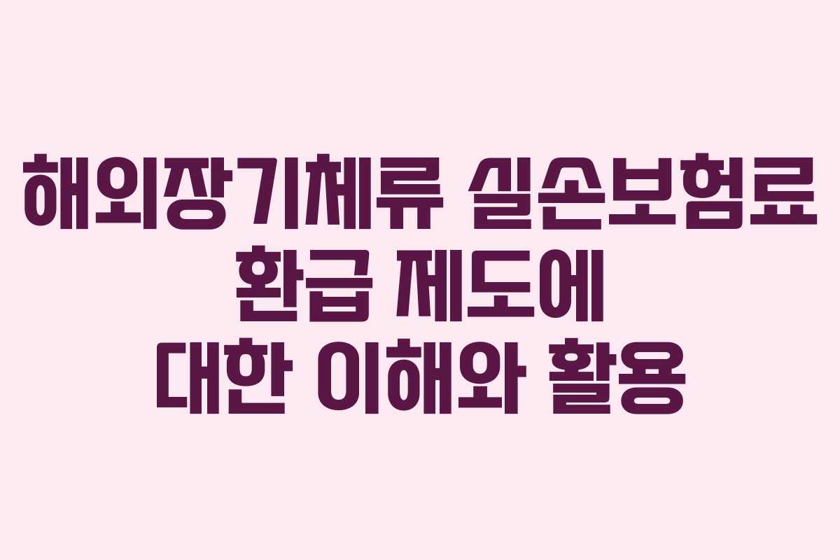 해외장기체류 실손보험료 환급 제도에 대한 이해와 활용