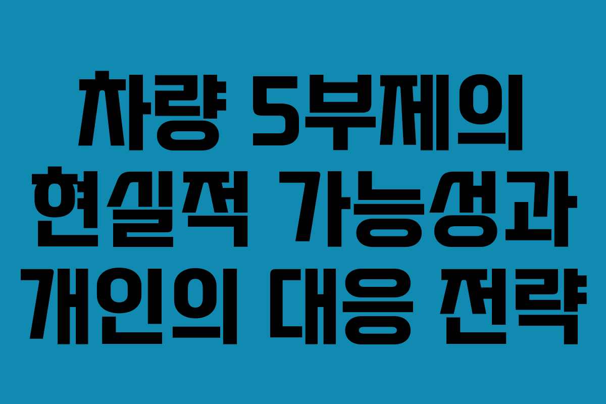 차량 5부제의 현실적 가능성과 개인의 대응 전략