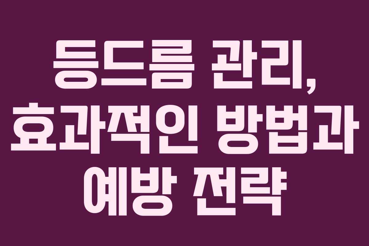 등드름 관리, 효과적인 방법과 예방 전략
