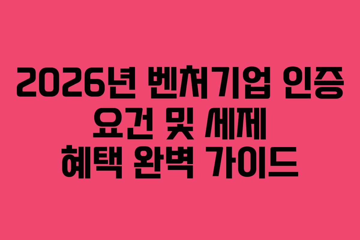2026년 벤처기업 인증 요건 및 세제 혜택 완벽 가이드