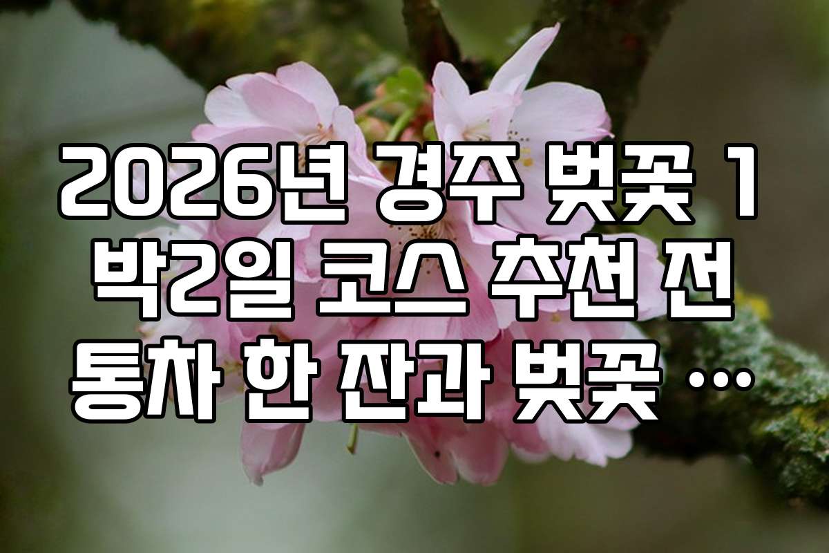 2026년 경주 벚꽃 1박2일 코스 추천 전통차 한 잔과 벚꽃 구경