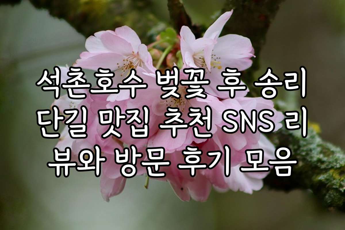 석촌호수 벚꽃 후 송리단길 맛집 추천 SNS 리뷰와 방문 후기 모음