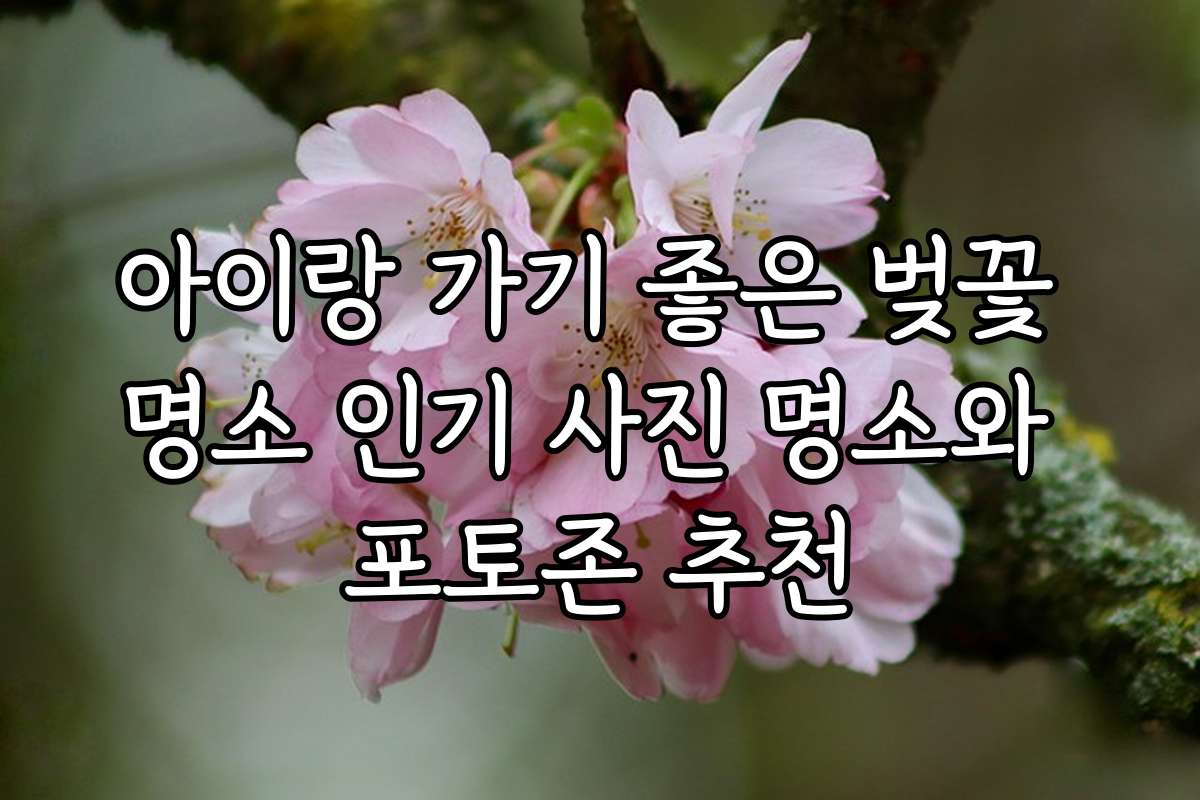 아이랑 가기 좋은 벚꽃 명소 인기 사진 명소와 포토존 추천