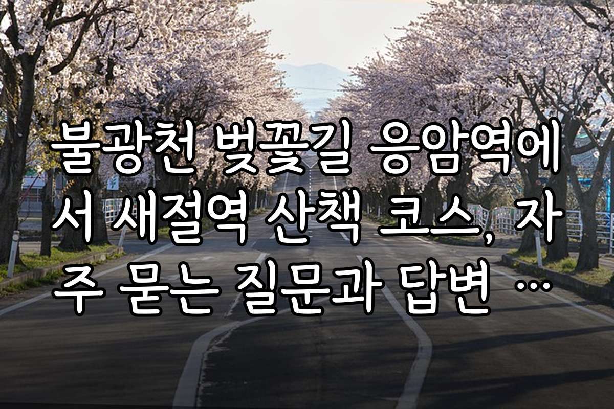 불광천 벚꽃길 응암역에서 새절역 산책 코스, 자주 묻는 질문과 답변 모음