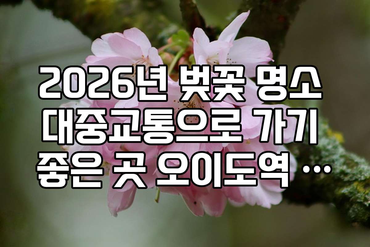 2026년 벚꽃 명소 대중교통으로 가기 좋은 곳 오이도역 시흥 갯골공원