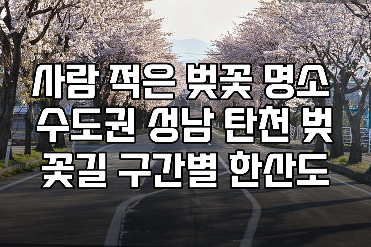 사람 적은 벚꽃 명소 수도권 성남 탄천 벚꽃길 구간별 한산도
