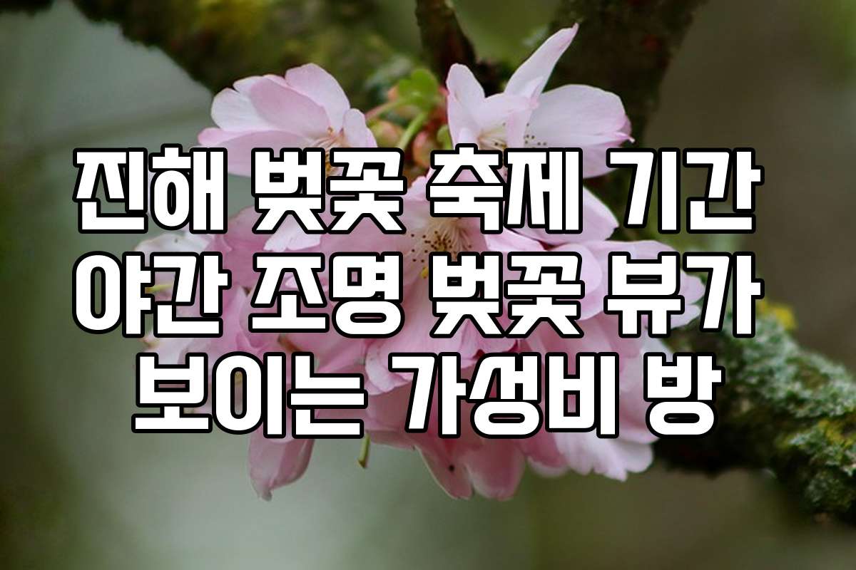 진해 벚꽃 축제 기간 야간 조명 벚꽃 뷰가 보이는 가성비 방