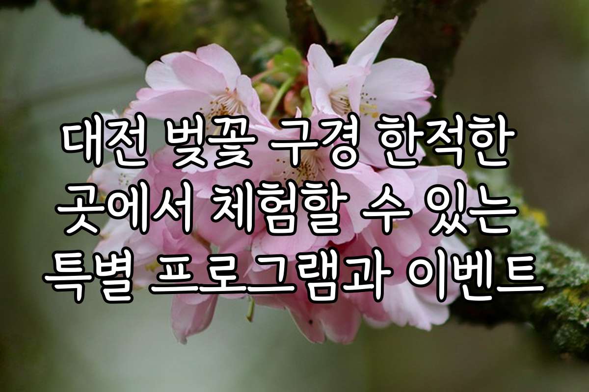 대전 벚꽃 구경 한적한 곳에서 체험할 수 있는 특별 프로그램과 이벤트