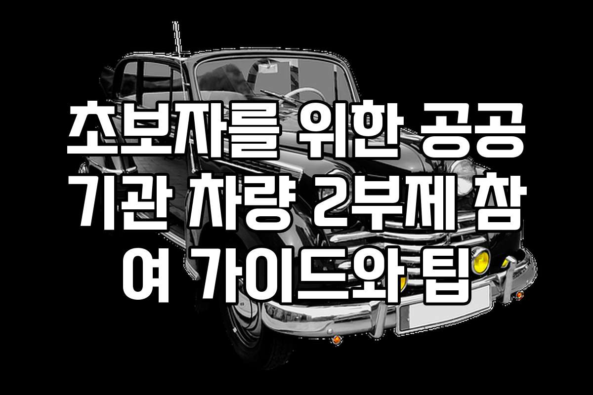 초보자를 위한 공공기관 차량 2부제 참여 가이드와 팁