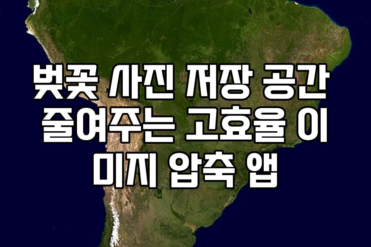 벚꽃 사진 저장 공간 줄여주는 고효율 이미지 압축 앱