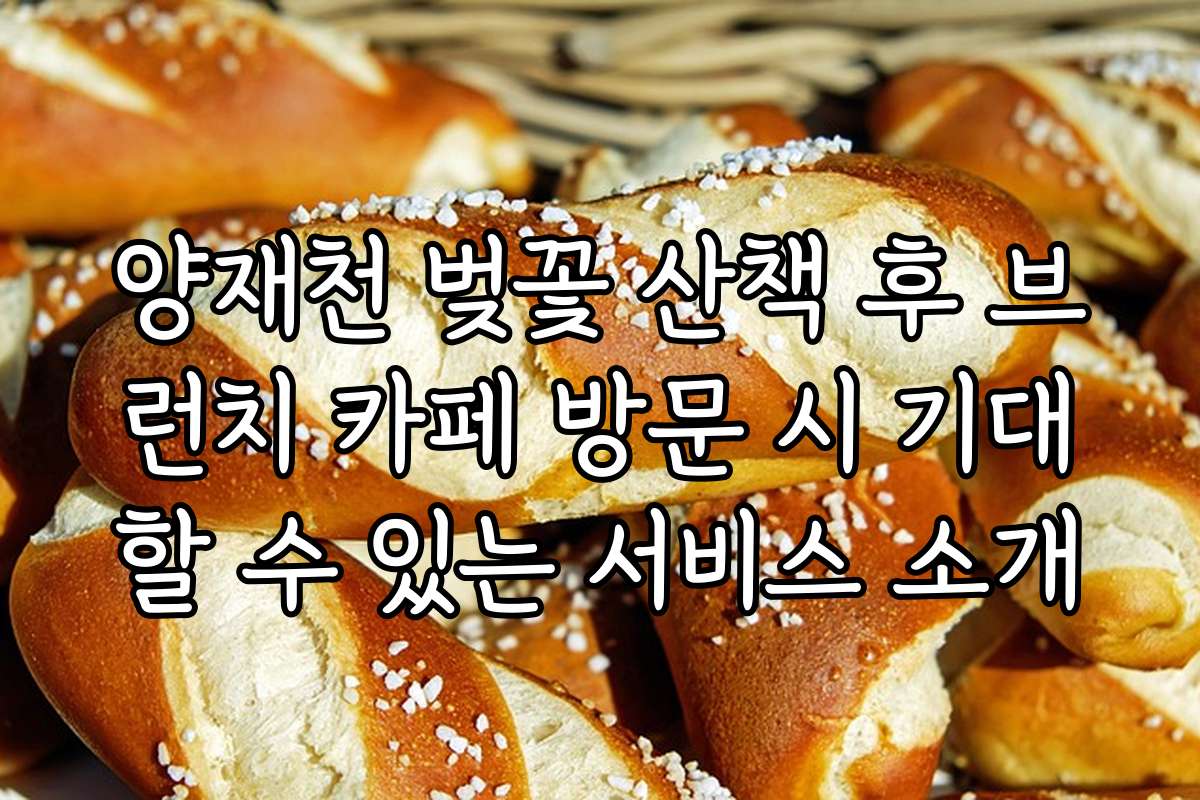 양재천 벚꽃 산책 후 브런치 카페 방문 시 기대할 수 있는 서비스 소개