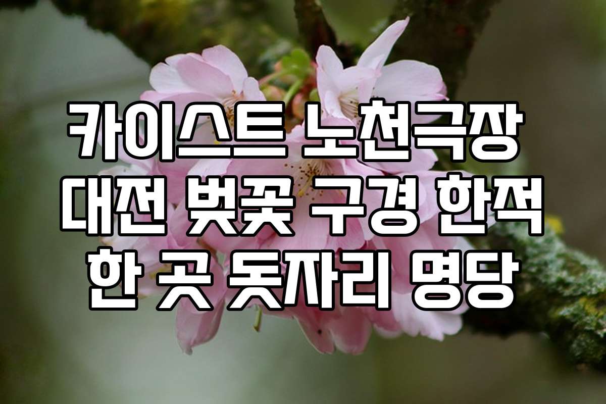 카이스트 노천극장 대전 벚꽃 구경 한적한 곳 돗자리 명당