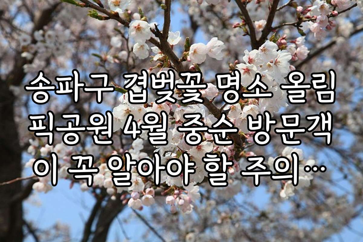 송파구 겹벚꽃 명소 올림픽공원 4월 중순 방문객이 꼭 알아야 할 주의사항과 안전수칙