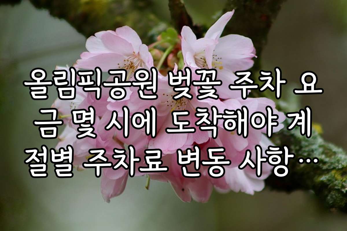 올림픽공원 벚꽃 주차 요금 몇 시에 도착해야 계절별 주차료 변동 사항 체크하기