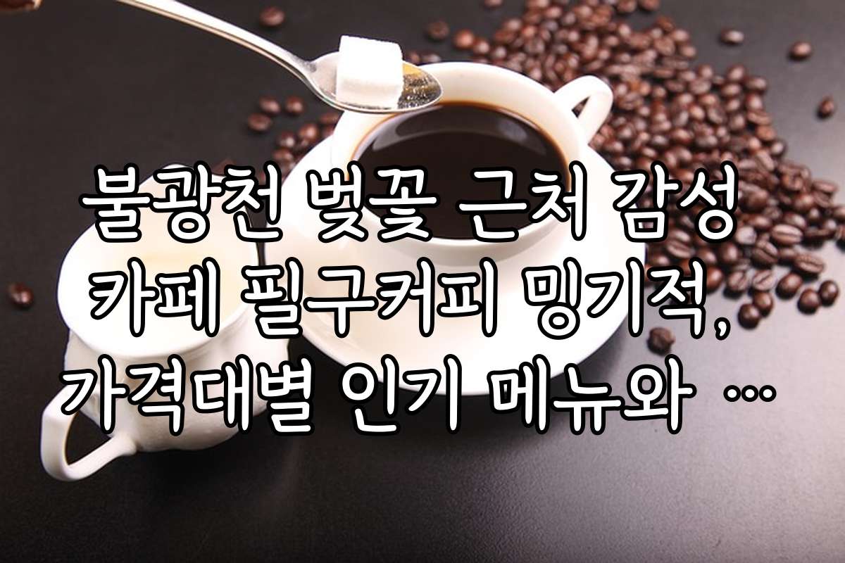 불광천 벚꽃 근처 감성 카페 필구커피 밍기적, 가격대별 인기 메뉴와 추천 세트