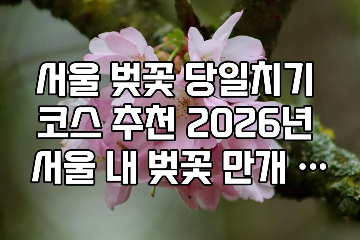서울 벚꽃 당일치기 코스 추천 2026년 서울 내 벚꽃 만개 시기별 추천지
