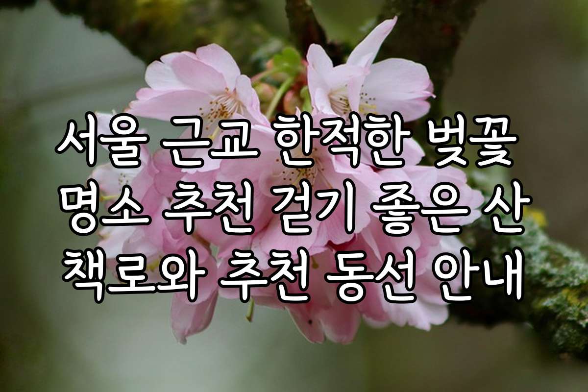 서울 근교 한적한 벚꽃 명소 추천 걷기 좋은 산책로와 추천 동선 안내