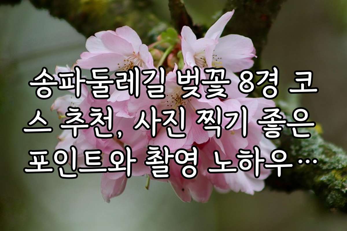 송파둘레길 벚꽃 8경 코스 추천, 사진 찍기 좋은 포인트와 촬영 노하우 소개
