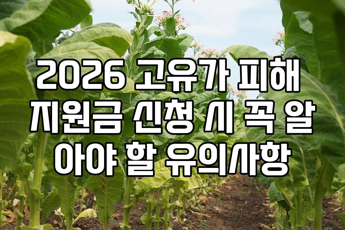 2026 고유가 피해 지원금 신청 시 꼭 알아야 할 유의사항