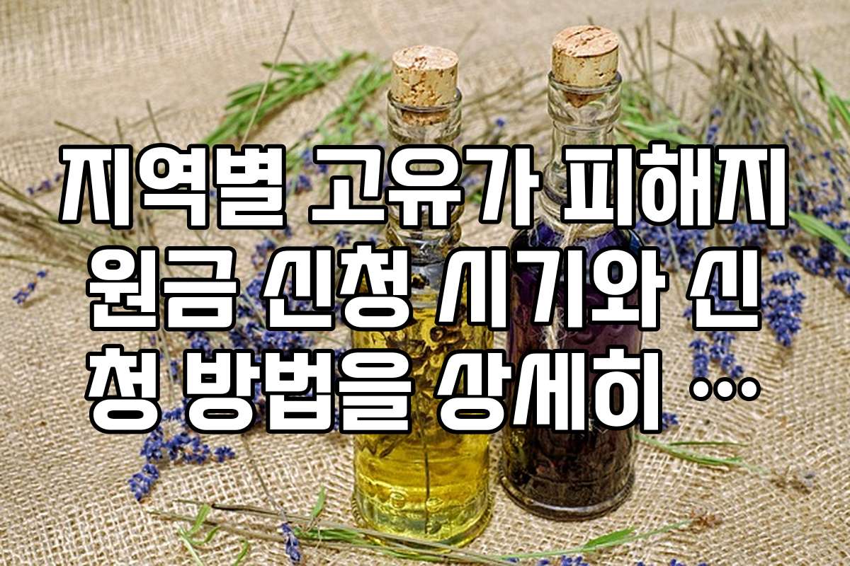 지역별 고유가 피해지원금 신청 시기와 신청 방법을 상세히 알려드립니다