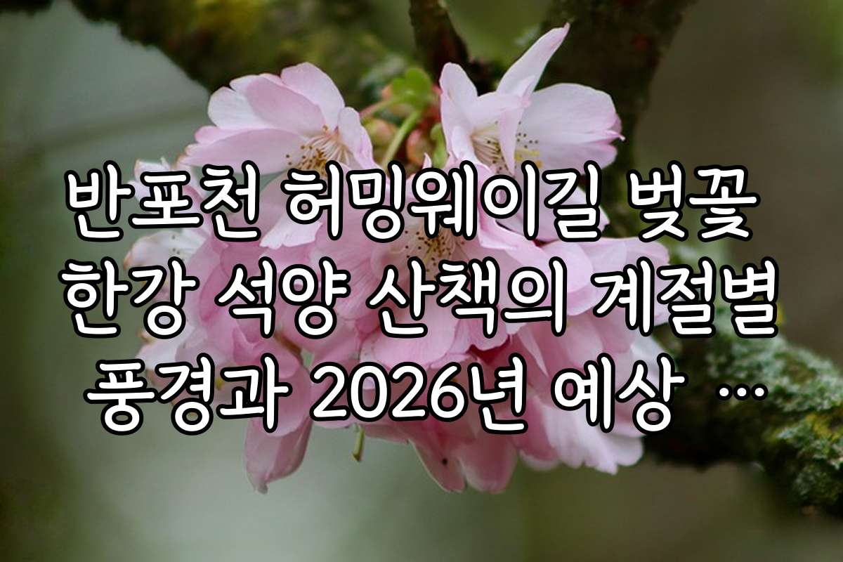 반포천 허밍웨이길 벚꽃 한강 석양 산책의 계절별 풍경과 2026년 예상 일정은?