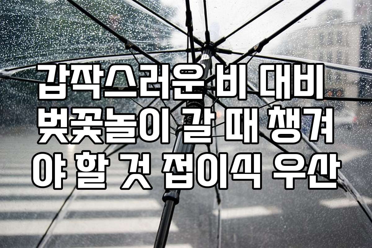 갑작스러운 비 대비 벚꽃놀이 갈 때 챙겨야 할 것 접이식 우산