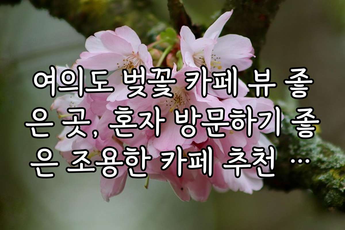 여의도 벚꽃 카페 뷰 좋은 곳, 혼자 방문하기 좋은 조용한 카페 추천 리스트