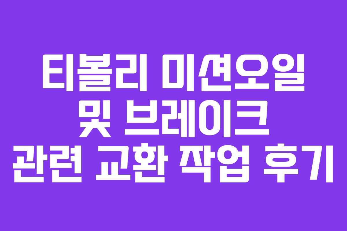 티볼리 미션오일 및 브레이크 관련 교환 작업 후기
