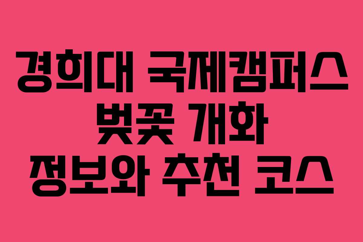경희대 국제캠퍼스 벚꽃 개화 정보와 추천 코스