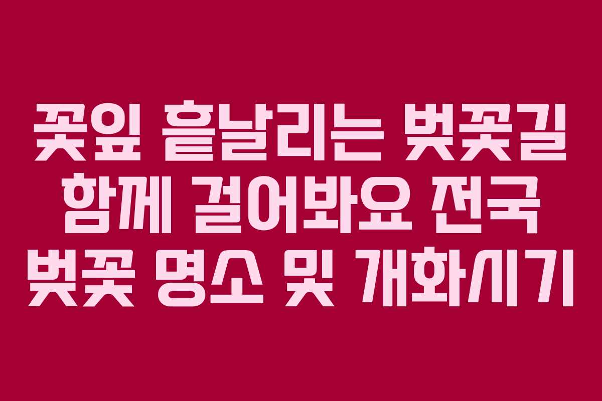 꽃잎 흩날리는 벚꽃길 함께 걸어봐요 전국 벚꽃 명소 및 개화시기