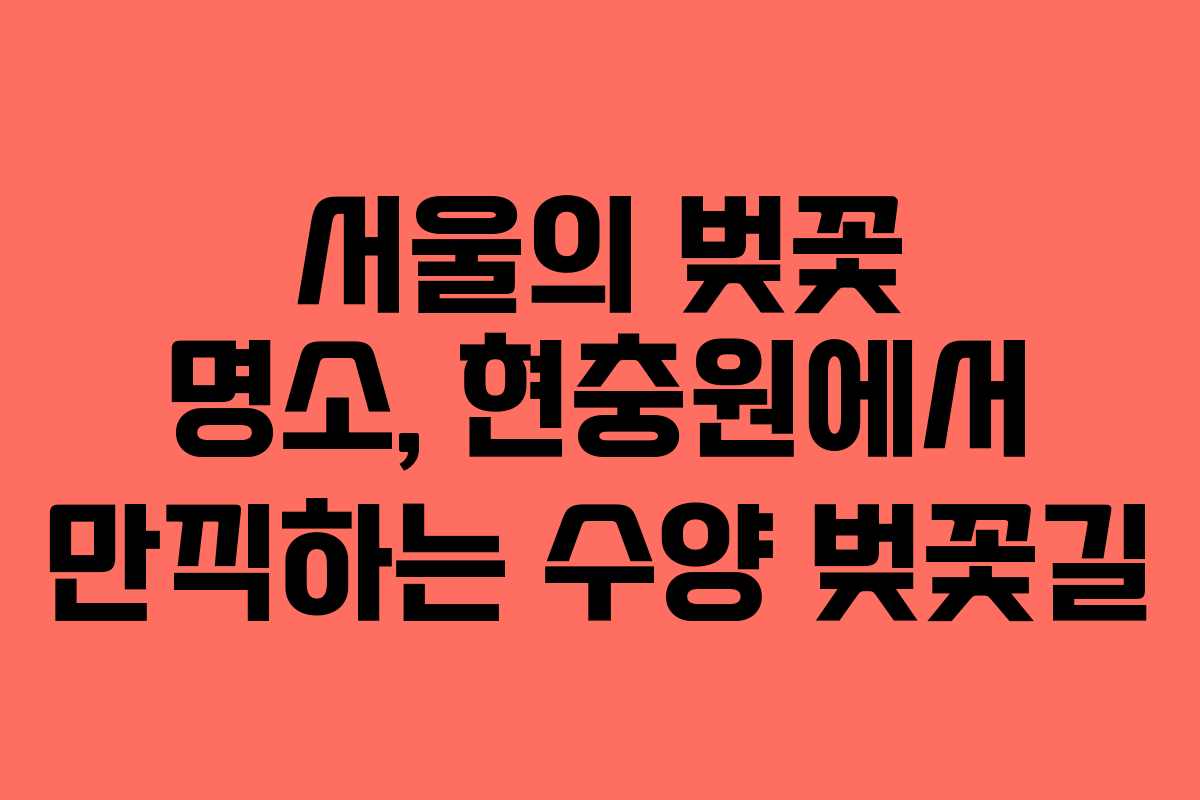서울의 벚꽃 명소, 현충원에서 만끽하는 수양 벚꽃길