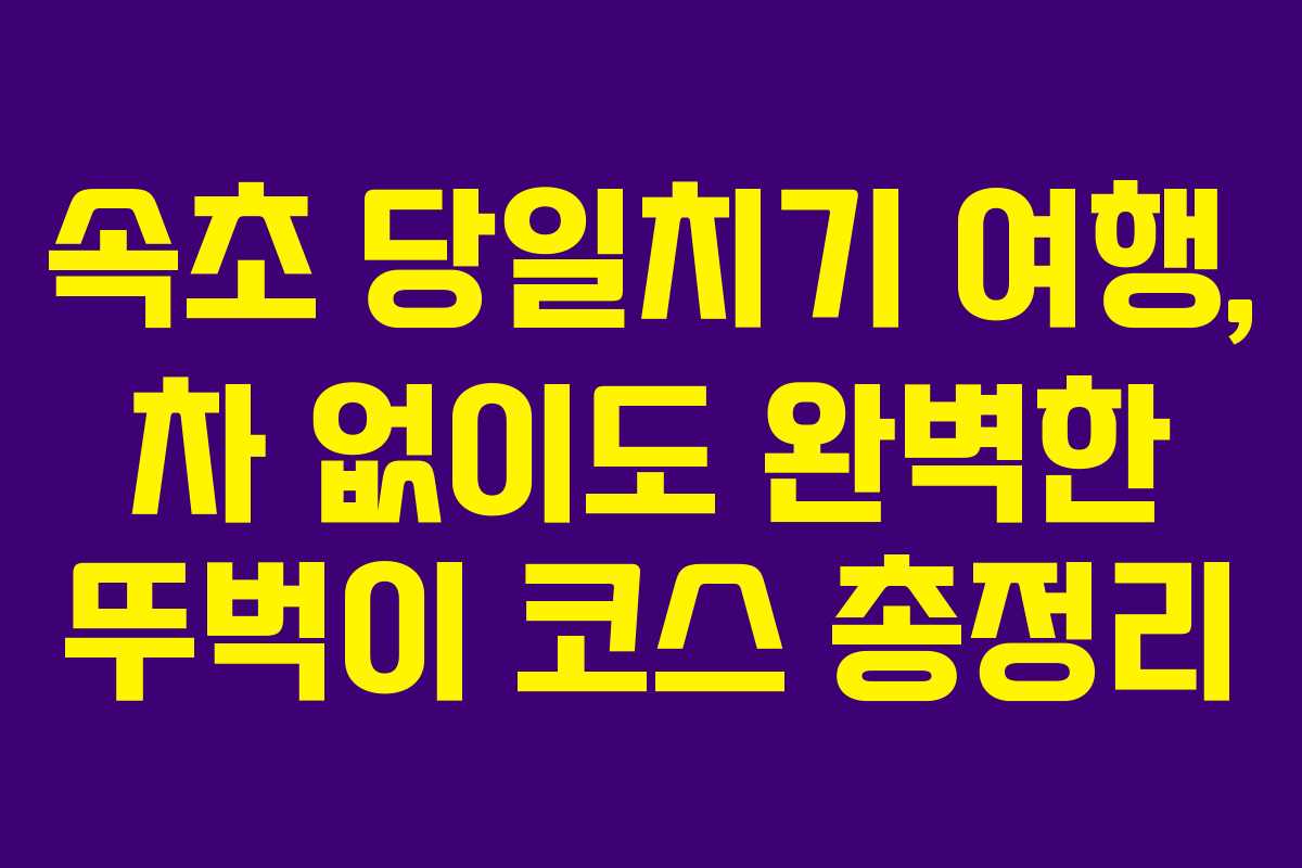 속초 당일치기 여행, 차 없이도 완벽한 뚜벅이 코스 총정리